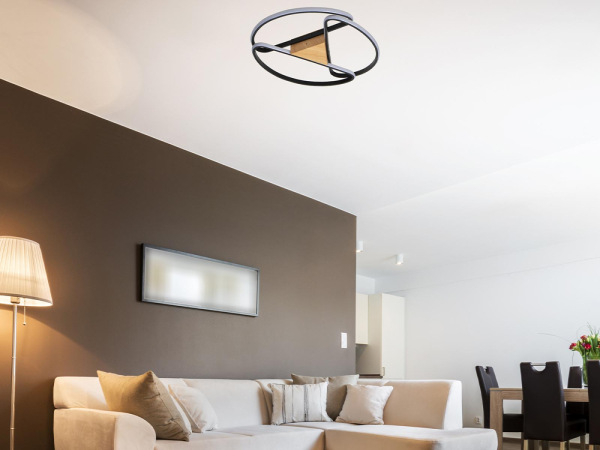 LED stropné svietidlo s diaľkovým ovládačom 75W - TA1311/BW 8