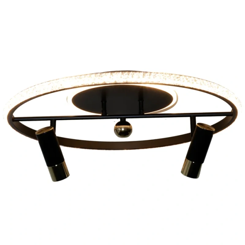 LED stropné svietidlo s diaľkovým ovládačom 60W - TA1333/B 11