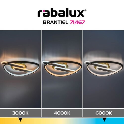Brantiel 8