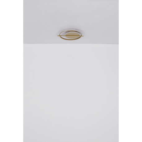 Stropné svietidlo kov zlatej farby, hliník zlatej farby, plast biely, DxŠxV: 400x360x50mm, LED 36W 2 15