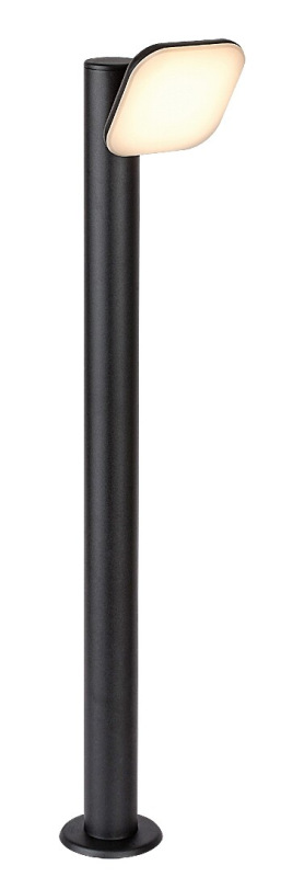 Odiel 7