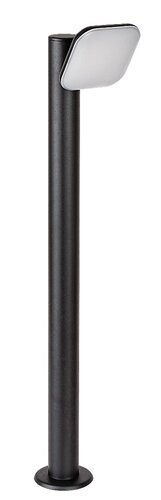 Odiel 1