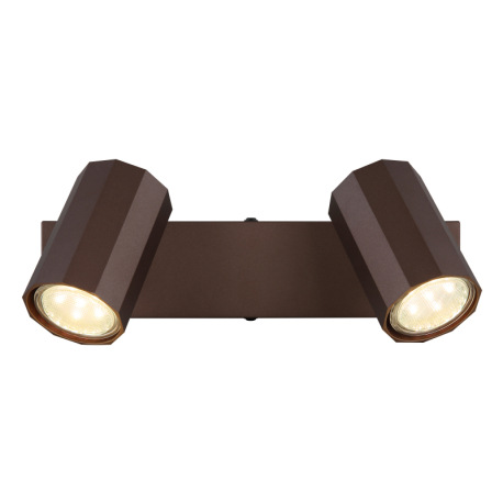 Nástenné svietidlo, kov bronzový matný, hliník bronzový matný, DxŠxV: 260x60x145mm, bez žiaroviek 2x 4