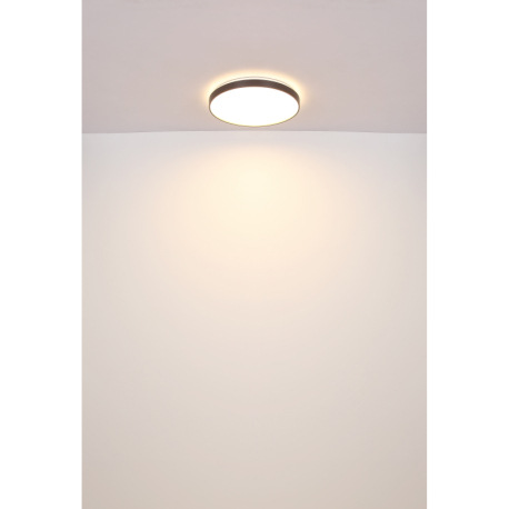 Stropné svietidlo, kov biely, akryl biely, plast antracit matný, ø: 480 mm, V: 45 mm, vrátane LED 24 12