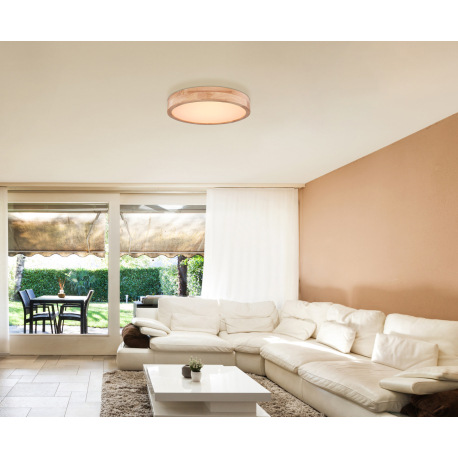 Stropné svietidlo, kov biely, prírodné drevo, plast biely, funkcia pamäte, stmievateľné, diaľkové ov 1