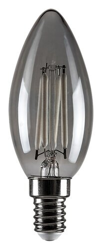 Filament-LED 1