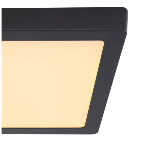 Stropné svietidlo, kov čierny, plast opál, DxŠxV: 300x300x30, vrátane 1xLED 22W 230V, 2200lm zdroj, 5