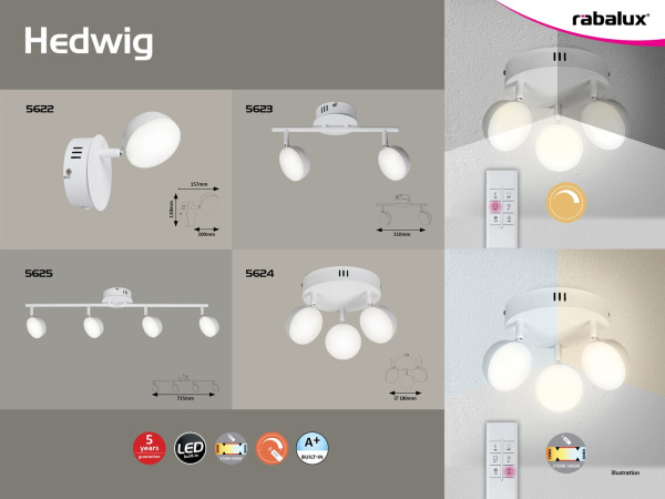Hedwig 9