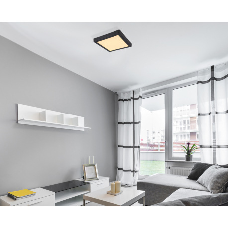 Stropné svietidlo, kov čierny, plast opál, DxŠxV: 300x300x30, vrátane 1xLED 22W 230V, 2200lm zdroj, 1