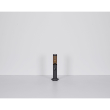 Vonkajšie svietidlo z nehrdzavejúcej ocele antracitovej farby, plast dymovej farby, smer svetla: nah 17