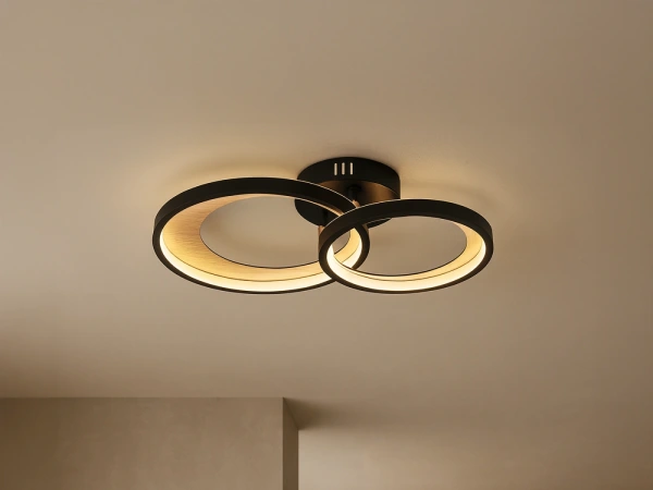 LED stropné svietidlo s diaľkovým ovládačom 35W - TA1339/B