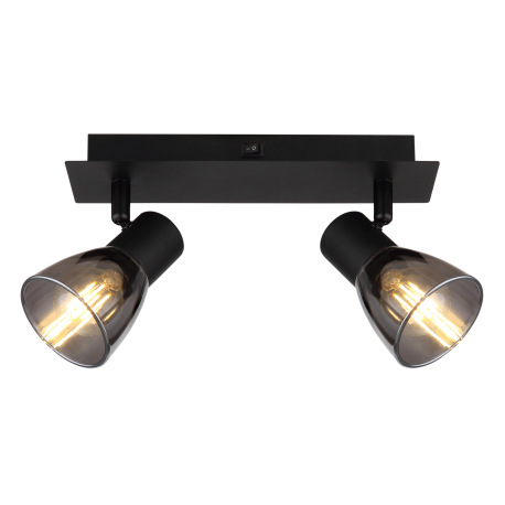 Nástenné svietidlo, kov čierny, dymové sklo, s vypínačom, DxŠxV:250x70x155mm, bez žiaroviek 2x E14, 4