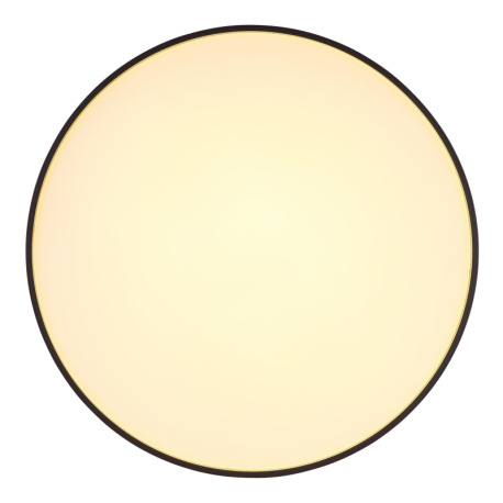 Stropné svietidlo, kov biely, akryl biely, plast antracit matný, ø: 480 mm, V: 45 mm, vrátane LED 24 3