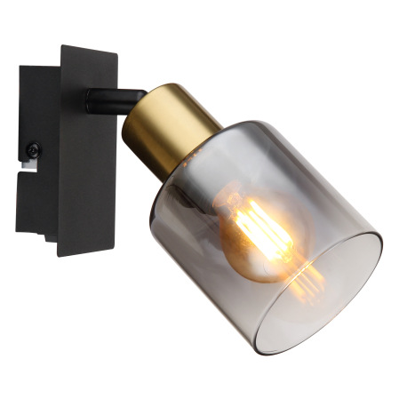 Nástenné svietidlo, kov čierny matný, kov zlatý matný, sklo dymové, priehľadné, kolískový vypínač, Š