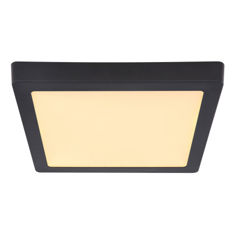 Stropné svietidlo, kov čierny, plast opál, DxŠxV: 300x300x30, vrátane 1xLED 22W 230V, 2200lm zdroj, 3