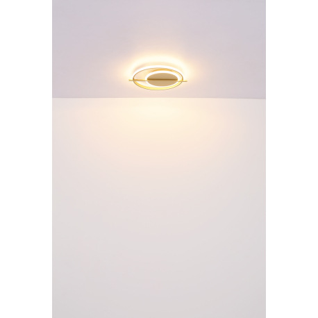 Stropné svietidlo kov zlatej farby, hliník zlatej farby, plast biely, DxŠxV: 400x360x50mm, LED 36W 2 14