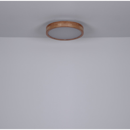 Stropné svietidlo, kov biely, prírodné drevo, plast biely, funkcia pamäte, stmievateľné, diaľkové ov 20