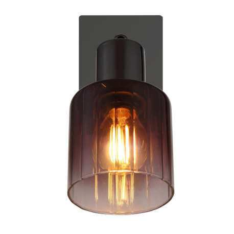 Nástenné svietidlo, kov čierny chróm, sklo medenej farby a priehľadné, kolískový spínač na výrobku, 14