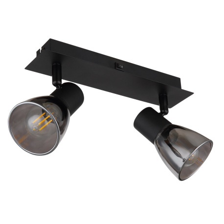 Nástenné svietidlo, kov čierny, dymové sklo, s vypínačom, DxŠxV:250x70x155mm, bez žiaroviek 2x E14, 3