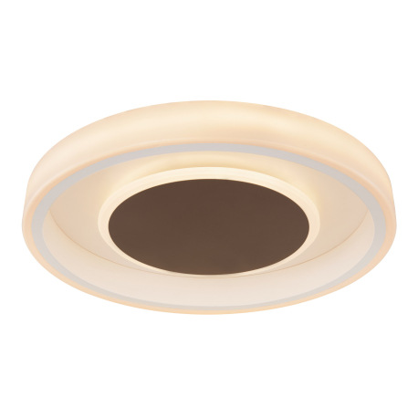 Stropné svietidlo, kov biely, akryl biely, kov hnedý, pamäťová funkcia, nočné svetlo, stmievateľné, 16