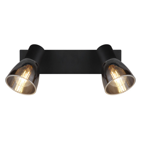 Nástenné svietidlo, kov čierny, dymové sklo, s vypínačom, DxŠxV:250x70x155mm, bez žiaroviek 2x E14, 6