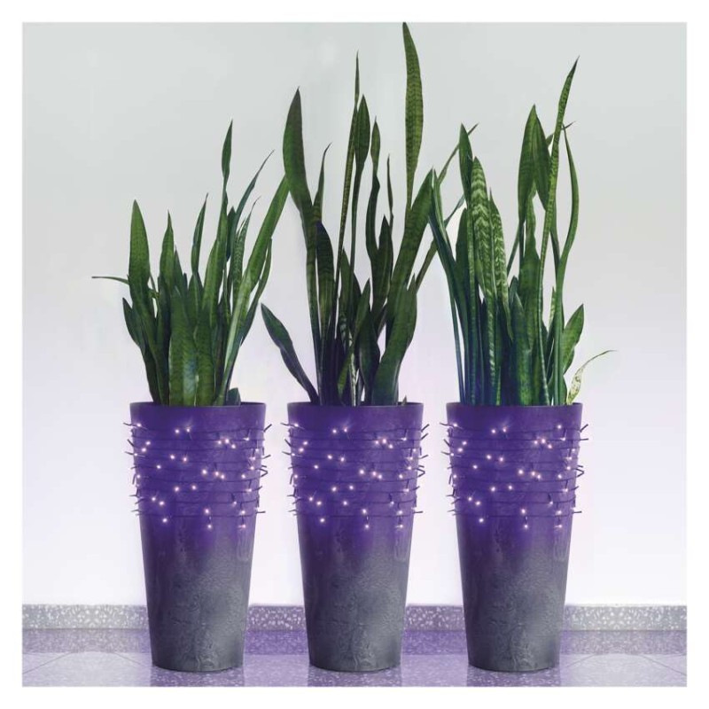 Standard LED spojovacia vianočná reťaz, 10 m, vonkajšia aj vnútorná, fialová 5