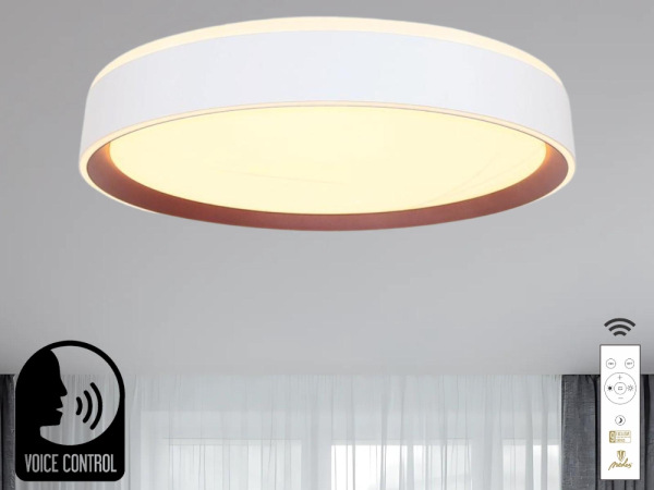 LED stropná lampa OPAL + DO + OVLÁDANIE HLASOM 48W - LC902MV 7