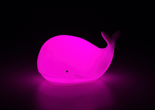 Lightimals 17