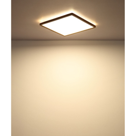 Stropné svietidlo, plast so vzhľadom dreva, satinovaný, biely, niekoľko úrovní cez nástenný spínač, 10