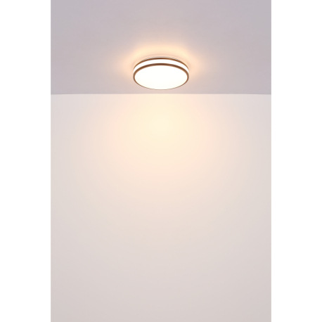 Stropné svietidlo, kov biely, plast vo farbe kávy, plast biely, stmievateľné, fixácia farieb, zmena 15