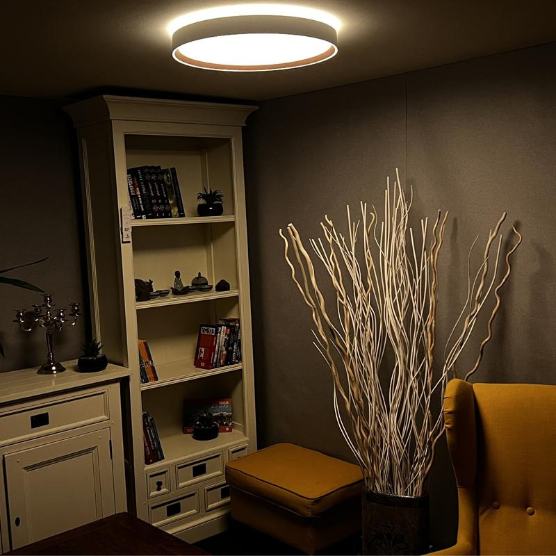 LED svietidlo OPAL + diaľkový ovládač + Wifi 48W - LC902M 4