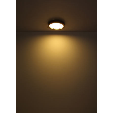 Stropné svietidlo, kov čierny matný, MDF so vzhľadom dreva, plast opál, stmievateľné, niekoľko úrovn 13