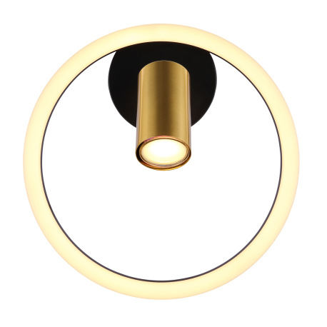 Nástenné svietidlo kov čierny matný, kov mosadz matná, plast biely, ø: 300mm, V: 150mm, vrátane LED 3