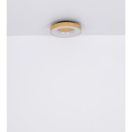 Stropné svietidlo, kov čierny, plast opál, pamäťová funkcia, nočné svetlo, stmievateľné, diaľkové ov 11