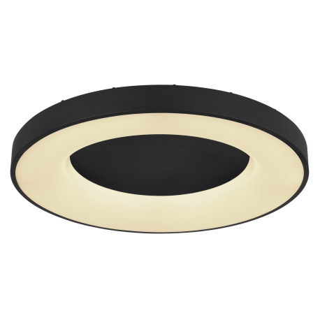 Stropné svietidlo, kov čierny, plast opál, pamäťová funkcia, nočné svetlo, stmievateľné, diaľkové ov