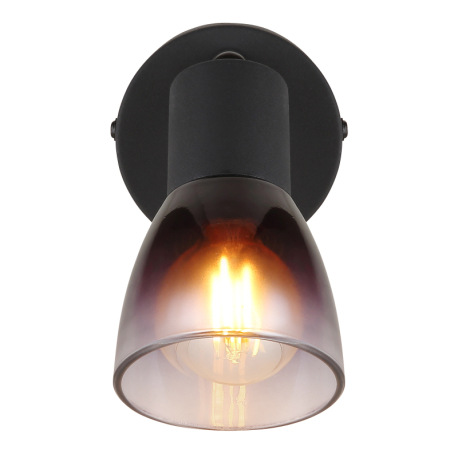 Nástenné svietidlo, kov čierny, sklo dymové, priehľadné, ŠxV: 80x130mm, H: 165mm, bez žiarovky 1xE14 13
