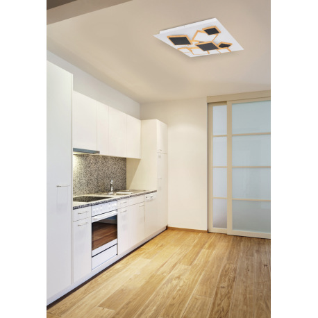 Stropné svietidlo, kov biely, kov čierny, akryl, opál biely, pamäťová funkcia, nočné svetlo, stmieva 1