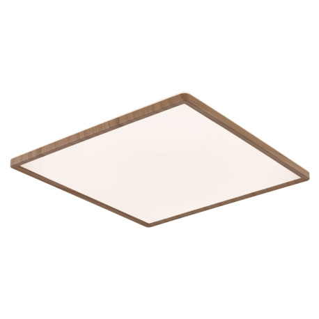 Stropné svietidlo, plast so vzhľadom dreva, satinovaný, biely, niekoľko úrovní cez nástenný spínač, 9