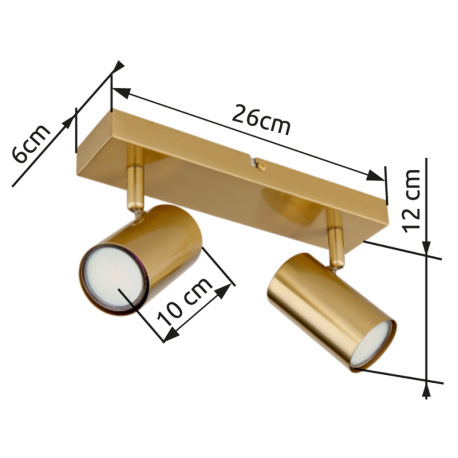 Stropné svietidlo, kov zlatý brúsený, DxŠxV: 260x60x120mm, bez žiaroviek 2x GU10, max. 35W 230V 12