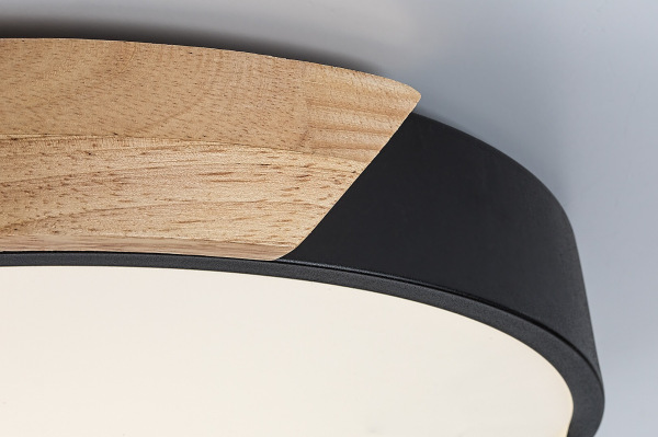 Maple2 13