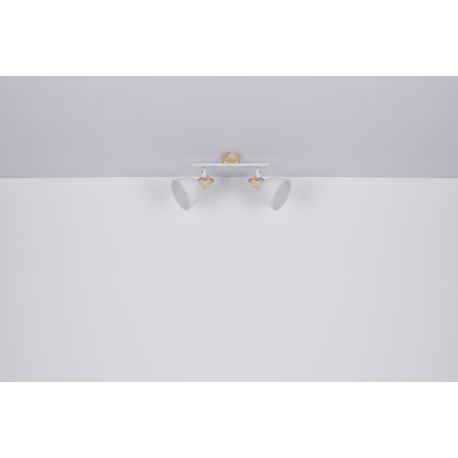 Nástenné svietidlo, kov biely, kov imitácia dreva, DxŠxV: 350x150x215, bez žiaroviek 2xE27, max. 40W 8