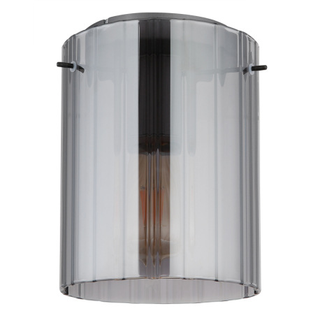 Stropné svietidlo, tmavosivý kov, dymové sklo s drážkami, ø: 180mm, V: 230mm, bez žiarovky 1xE27, ma 5