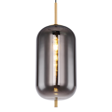 Závesné svietidlo, kov čierny, mosadz, dymové sklo, ø: 220mm, V:1200mm, bez žiarovky 1x E27, max. 60 13