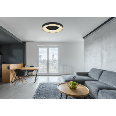 Stropné svietidlo, kov čierny, plast opál, pamäťová funkcia, nočné svetlo, stmievateľné, diaľkové ov 13