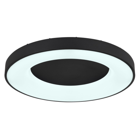 Stropné svietidlo, kov čierny, plast opál, pamäťová funkcia, nočné svetlo, stmievateľné, diaľkové ov 18