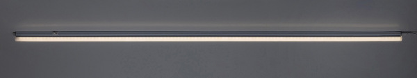 Bareg 11