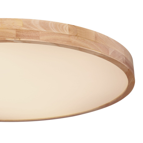 Stropné svietidlo, kov biely, prírodné drevo, plast biely, funkcia pamäte, stmievateľné, diaľkové ov 11