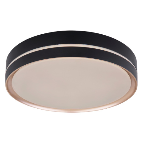 Stropné svietidlo, kov čierny/bronzový, plast biely, pamäťová funkcia, nočné svetlo, stmievateľné, d 18