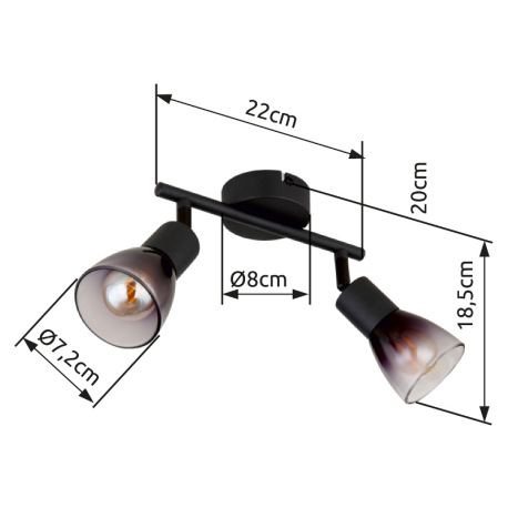 Nástenné svietidlo, kov čierny, sklo dymové, priehľadné, DxŠxV: 220x80x185mm, bez žiaroviek 2xE14, m 9