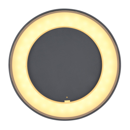 Vonkajšie svietidlo, hliník antracit, plast opál, IP54, Ø200, V:45, vrátane 1xLED 12W 230V, zdroj 84 8